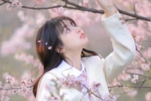 让人瞬间小鹿乱撞的懵懂文案 超级甜美的宠溺情话