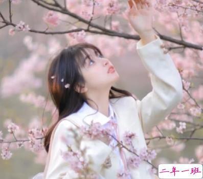 让人瞬间小鹿乱撞的懵懂文案 超级甜美的宠溺情话1