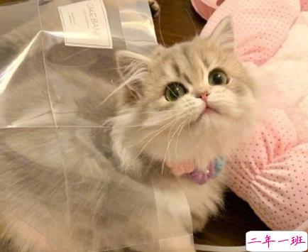 关于世界上有X种XXX搞笑文学 全网超级火的搞笑语录合集2