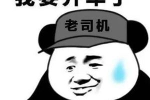 关于晒驾照的搞笑说说 考到驾照的搞笑语录