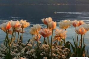 让你瞬间感同身受的句子 精辟又很走心的语录