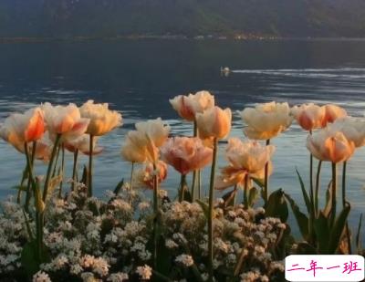 让你瞬间感同身受的句子 精辟又很走心的语录1