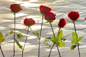 2022最新失眠状态emo的文案 深夜失眠的难过句子