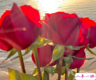 2022最新失眠状态emo的文案 深夜失眠的难过句子2