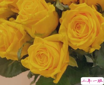 让人自愈的朋友圈文案 独自自愈的好听说2