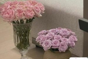 很高级的无风格的个性文案 旷野是春日阳光赠予世间的吻