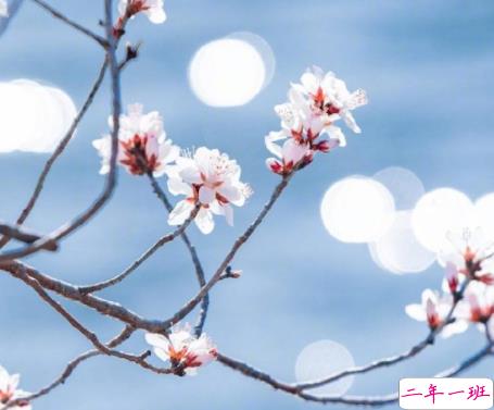 让你心态变温柔的说说带图片 很好听的温柔语录最新3