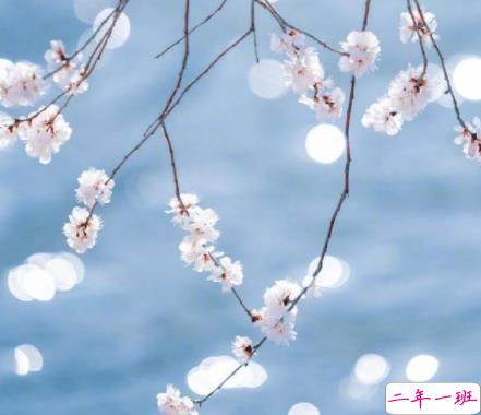 让你心态变温柔的说说带图片 很好听的温柔语录最新4