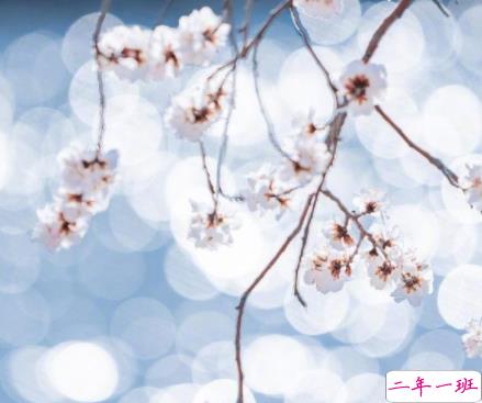 让你心态变温柔的说说带图片 很好听的温柔语录最新5