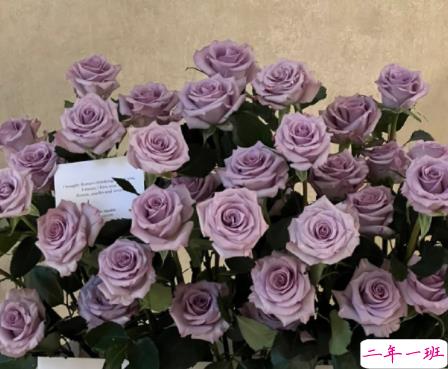 让你心态变温柔的说说带图片 很好听的温柔语录最新6