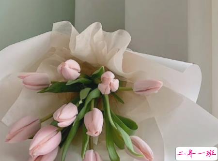 让你心态变温柔的说说带图片 很好听的温柔语录最新14