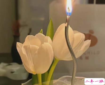 让你心态变温柔的说说带图片 很好听的温柔语录最新15