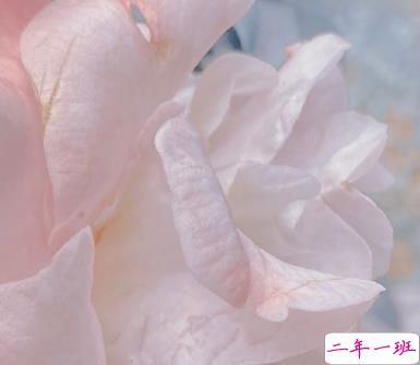 令人惊艳的暧昧情话 超级暖心的情话短句1