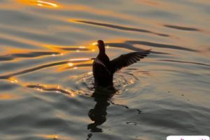 关于忙碌的优美文案最新 忙碌又精辟的现实语录