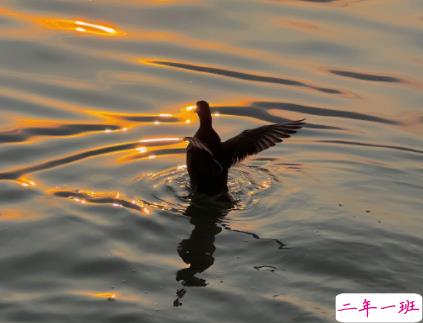 关于忙碌的优美文案最新 忙碌又精辟的现实语录1