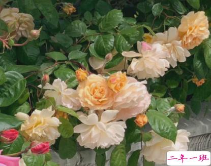 很精辟的一段话瞬间打开心结 一语解开心结的句子合集1