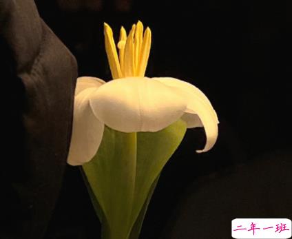 关于忙碌的优美文案最新 忙碌又精辟的现实语录2