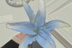 让人很喜欢的文艺浪漫语录 唯美文艺让人心动满满的文案