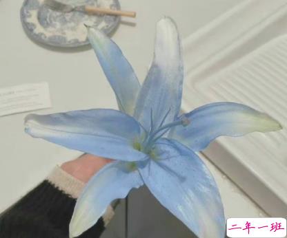 让人很喜欢的文艺浪漫语录 唯美文艺让人心动满满的文案1