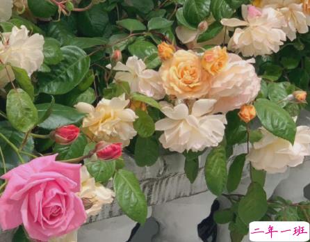 简单文艺又很温柔的短句 把自己活成一道光1