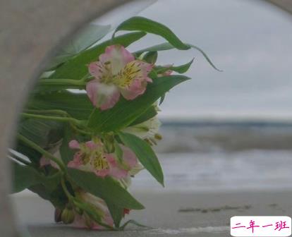 让人很喜欢的文艺浪漫语录 唯美文艺让人心动满满的文案2