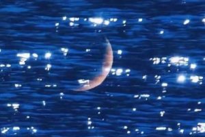 写给自己的超级励志的文案带图片 宁可辛苦一阵子不要苦一辈子