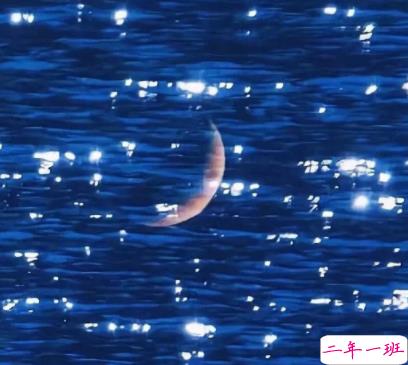 写给自己的超级励志的文案带图片 宁可辛苦一阵子不要苦一辈子1