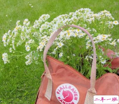 写给自己的超级励志的文案带图片 宁可辛苦一阵子不要苦一辈子2