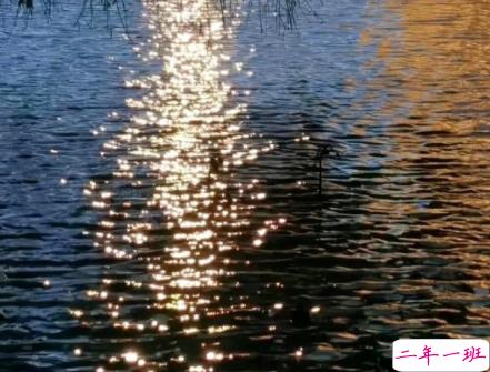 2022七夕又是一个人孤单的说说 单身狗过七夕的伤感语录1