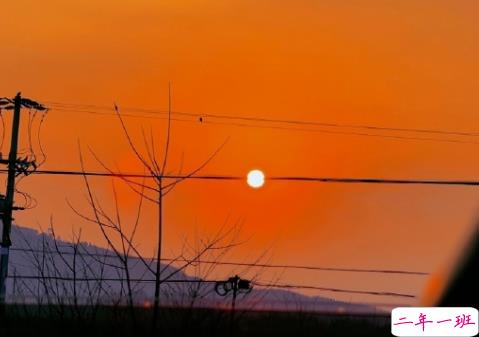 白莲花婊经典语录 白莲花必备语录2