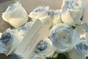 女人一定要独立的说说 要做独立的女人说说