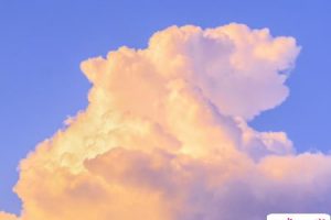 简短瞬间落泪的句子最新 坚强而又心酸的句子