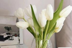 创业压力很大的朋友圈短句 创业路上很难很艰辛的句子