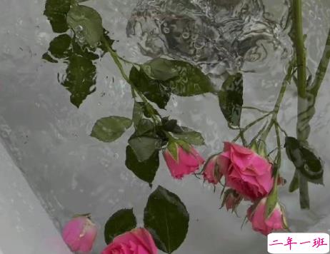 晒自己艺术照的心情说说 发个人写真的朋友圈语录1