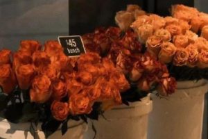 单亲妈妈不容易的心情说说 单亲妈妈的正能量句子