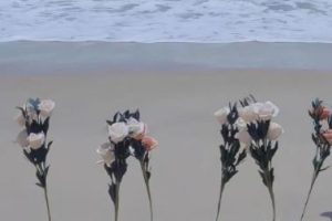 上班很充实的开心语录 上班很充实的心情说说