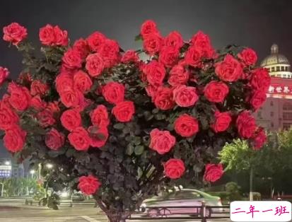 上班很充实的开心语录 上班很充实的心情说说2