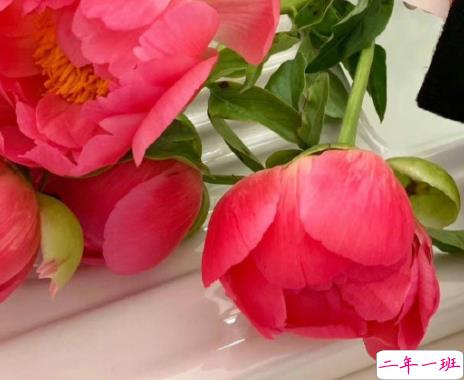 结婚纪恋日的写给老婆的话 发给老婆的结婚纪念日短句2