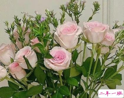 生活要自己很努力的句子 努力变优秀的简短句子1