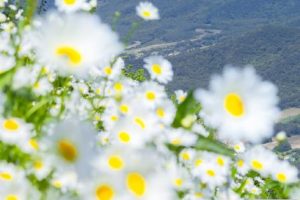 一个人也要好好吃饭的说说 一个人吃饭的仪式感句子