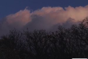 放下了也就释然了的句子 各自安好不再打扰的说说