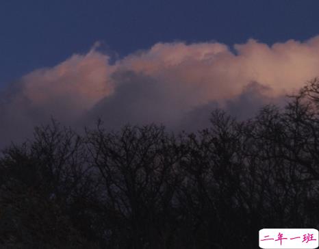 放下了也就释然了的句子 各自安好不再打扰的说说1