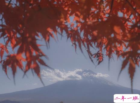 放下了也就释然了的句子 各自安好不再打扰的说说2