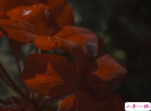 放下了也就释然了的句子 各自安好不再打扰的说说3