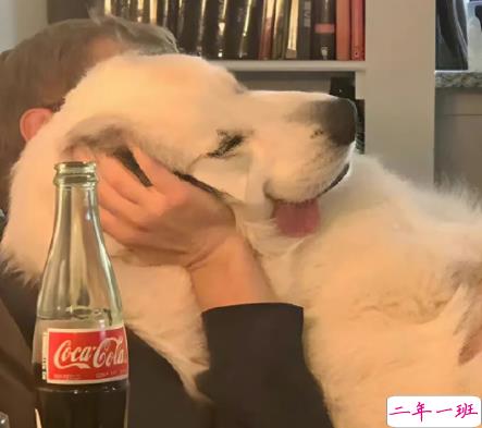 让朋友圈变成快乐源泉的文案 让人拥有好心情的语录最新2