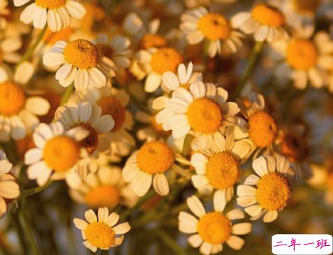 放下了也就释然了的句子 各自安好不再打扰的说说8