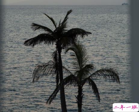 放下了也就释然了的句子 各自安好不再打扰的说说11