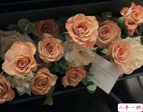 放下了也就释然了的句子 各自安好不再打扰的说说15