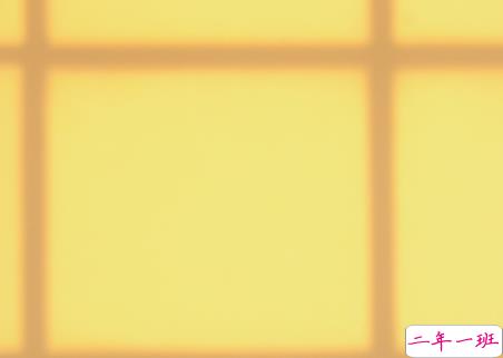 2022情人节幸福的爱情句子带图片 我把四季用来等你1