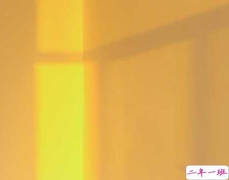 2022情人节幸福的爱情句子带图片 我把四季用来等你2